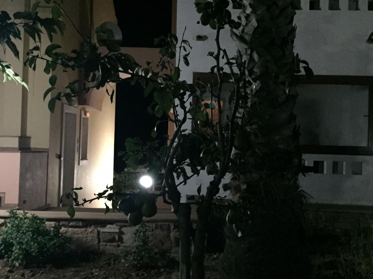 Agia Ermioni Toulipa Rooms מראה חיצוני תמונה