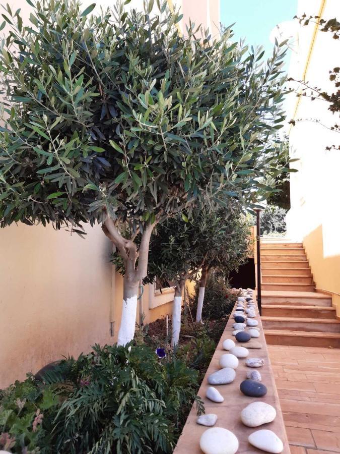 Agia Ermioni Toulipa Rooms מראה חיצוני תמונה